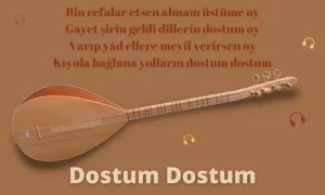 Türkü Sözleri... 10 Dostum Dostum