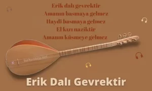 Türkü Sözleri... 12 Erik Dali Gevrektir