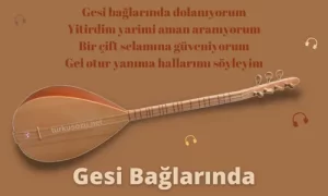 Türkü Sözleri... 13 Gesi Baglarinda