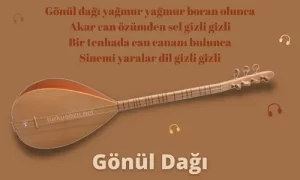 Türkü Sözleri... 14 Gonul Dagi