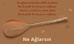 Türkü Sözleri... 21 Ne Aglarsin