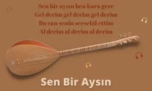 Türkü Sözleri... 23 Sen Bir Aysin