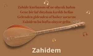 Türkü Sözleri... 26 zahidem