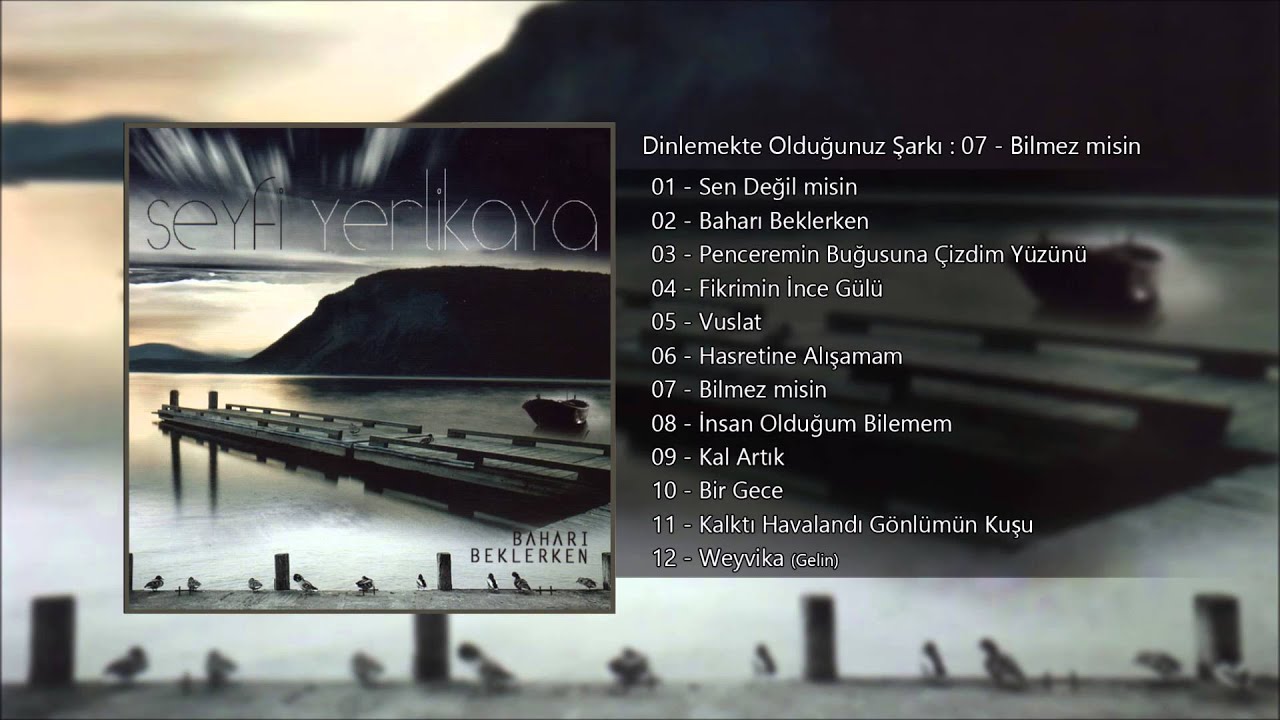 Seyfi Yerlikaya – Bilmez Misin Şarkı Sözleri