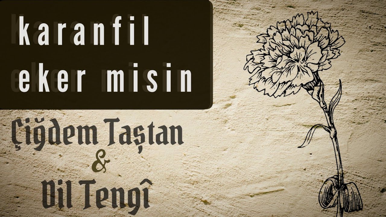 Karanfil Eker Misin Şarkı Sözleri