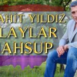 Mücahit Yıldız – Halaylar Mahsup Şarkı Sözleri