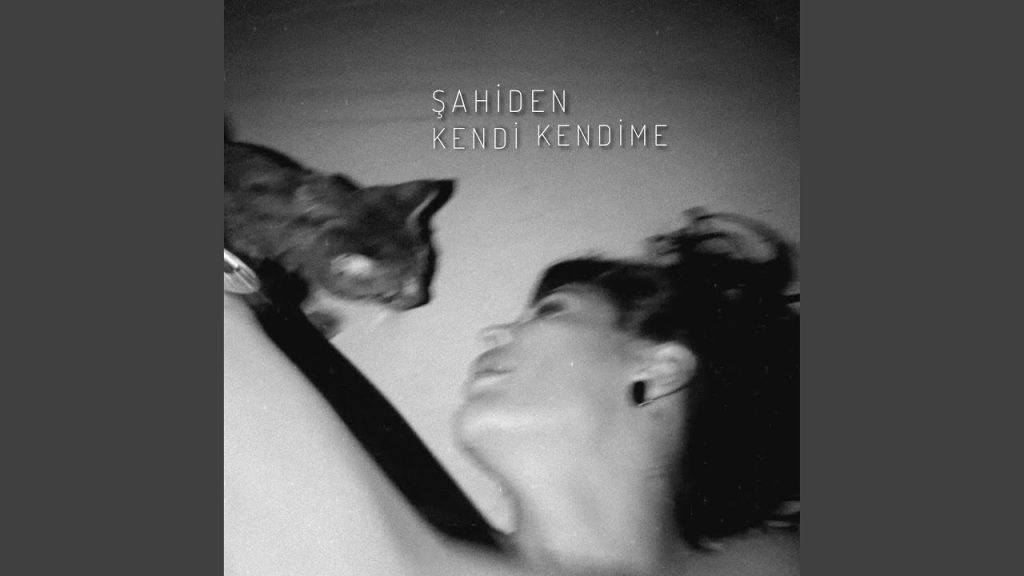 Kendi Kendime Şarkı Sözleri – Şahiden