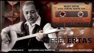 Ayva Turunç Narım Var Şarkı Sözleri Şarkı Sözleri