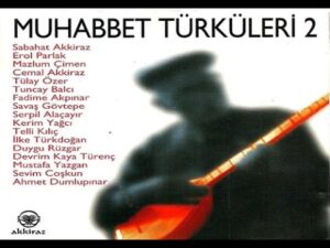 Ben De Bir İnsan Oğluyum Türkü Sözleri Şarkı Sözleri